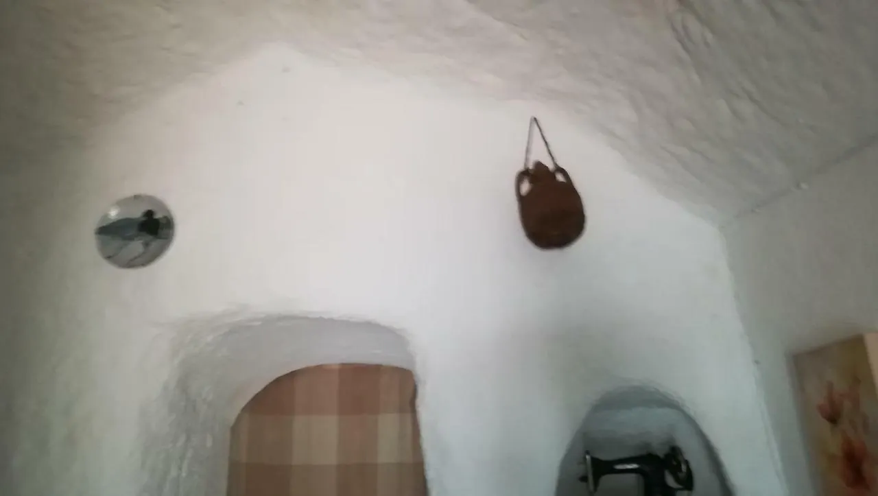 Casa Cueva El Algarrobo Hotel Guadix