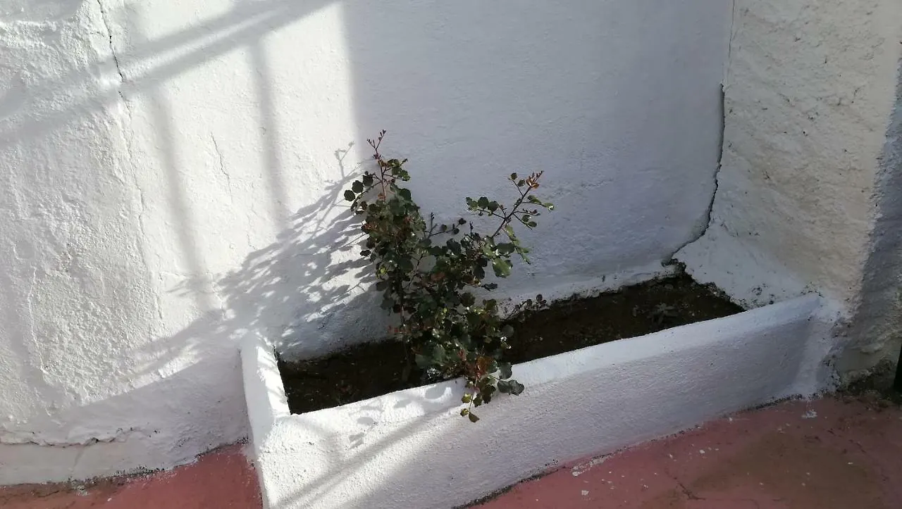 Casa Cueva El Algarrobo Hotel Guadix 0*,  Spain